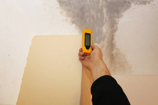 Best Biohazard Mold Removal  in Crested Butte, CO