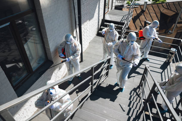 Best Mold Removal for HVAC Installations  in Crested Butte, CO